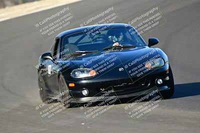 media/Mar-01-2025-Turn8 Trackdays (Sat) [[3bac13d0ad]]/Inter 3/Session 1 (Turns 2 and 3)/